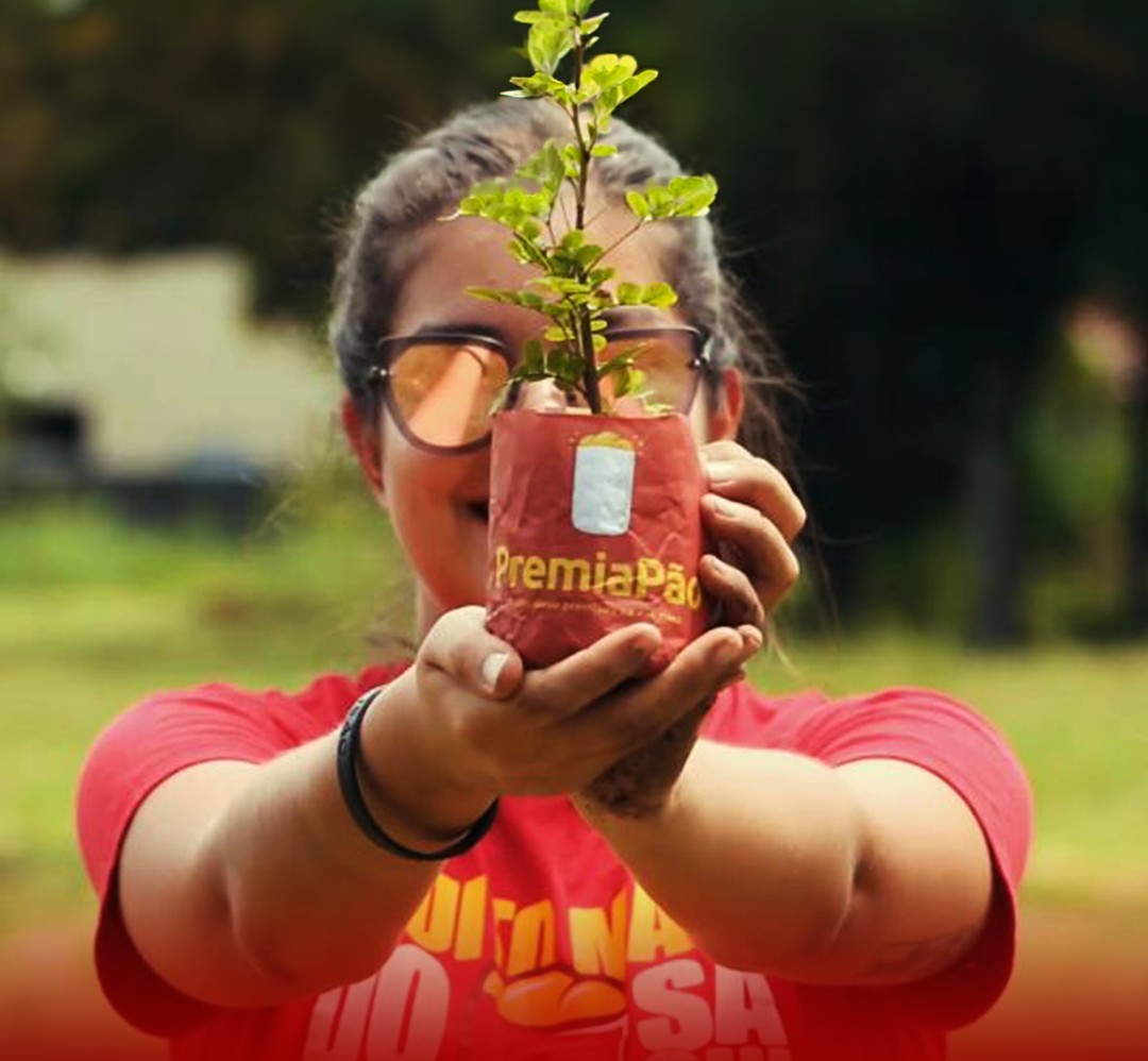 Iniciativa Verde — plantio de árvore nativa